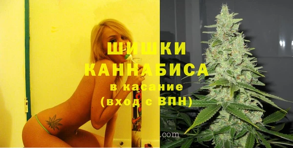 ешки Аркадак