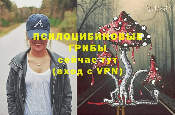 крисы Арсеньев
