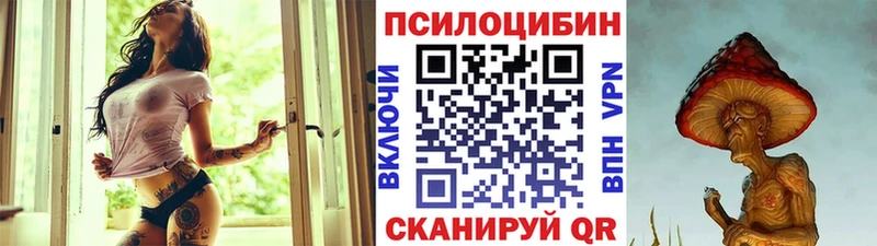 наркотики Циолковский Псилоцибиновые грибы MAGIC MUSHROOMS